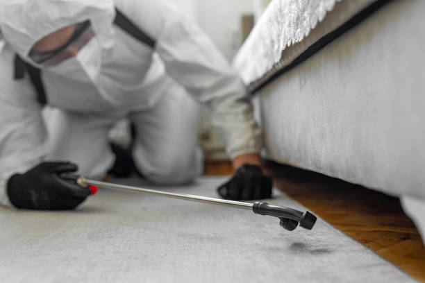 Professional Bed Bug Control technician working in Alakanuk, AK