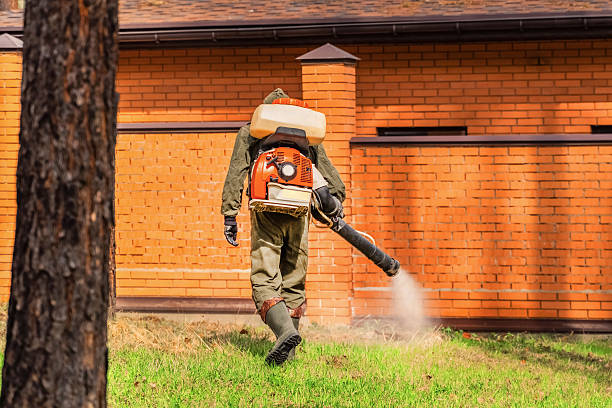 Trusted Bed Bug Control service in Alakanuk, AK - Nex Pest Control
